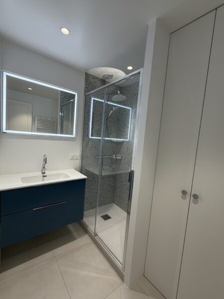 Douche vitrée, meuble vasque et placard intégré dans une salle de bains contemporaine
